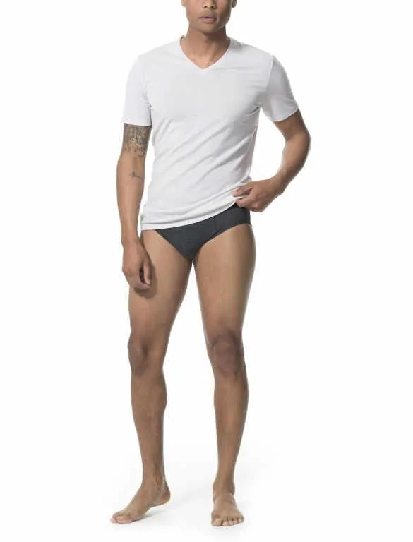 Icebreaker Undergarment Men's Anatomica Briefs Underwear