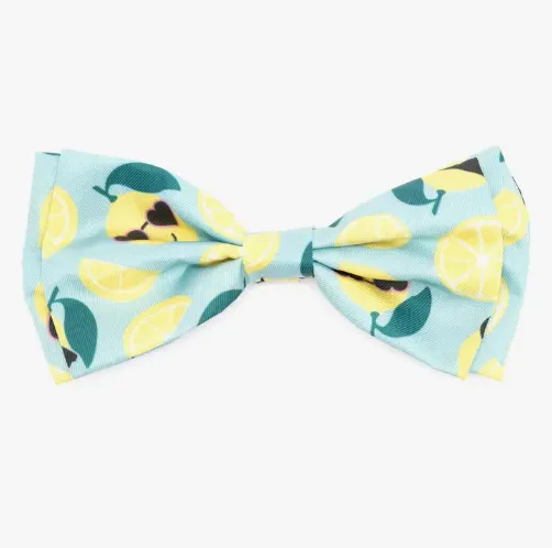 Lemons Bow Tie