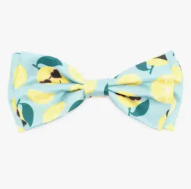 Lemons Bow Tie