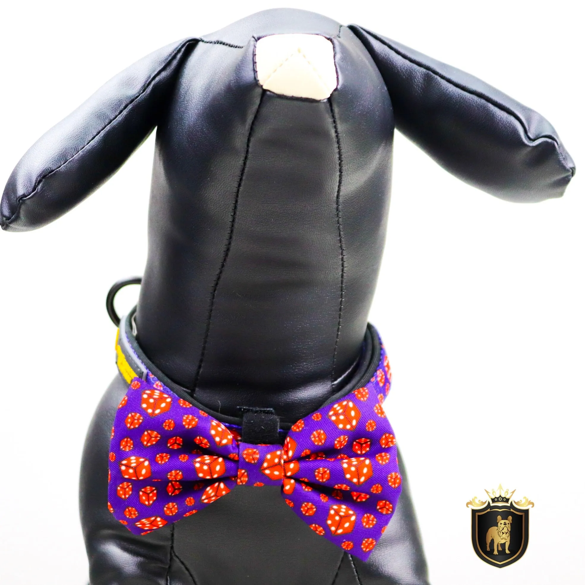 "What happens in Vegas"  Collar & Bow Tie